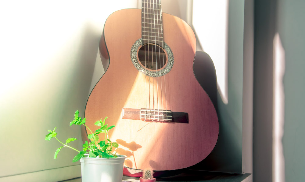 一颗苹果吉他谱，阿果吉曲吉他谱