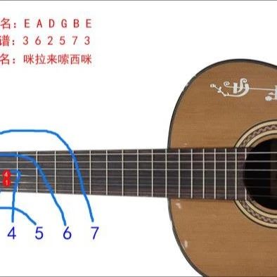 吉他小白逆袭秘籍：从菜鸟到弹唱高手的通关攻略
