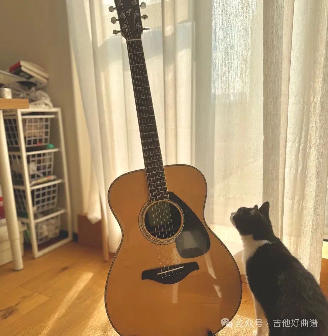 吉他是这个世界上最难的乐器没有之一_1_真的怕鸡_来自小红书网页版.jpg